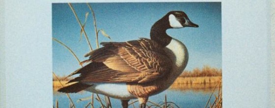 CANADIAN GOOSE